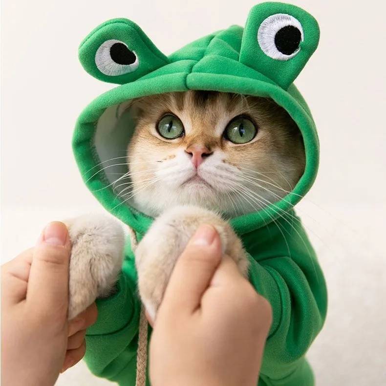 Autumn Winter Funny Cute Cartoon Animal Sweater Little Frog Hooded Fleece-Lined Pullover for Dogs Cats Polyester New Year's Red